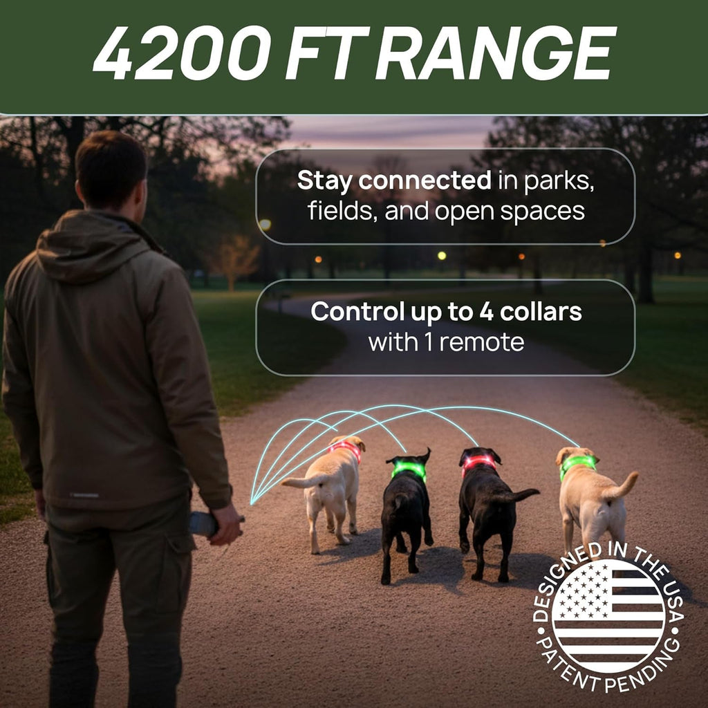 Training Collar for Dogs