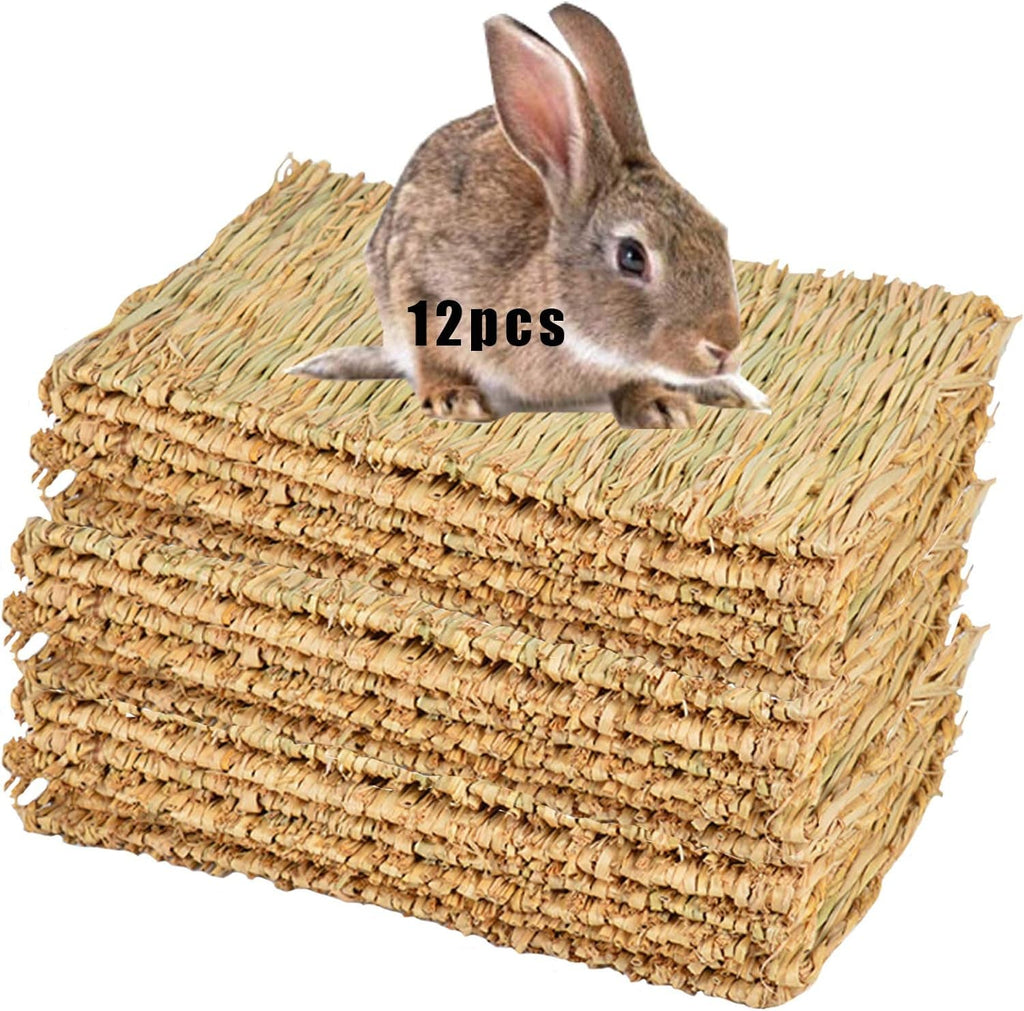 12 Grass Mats for Your Small Pets' Snack Time and Nap Zone!