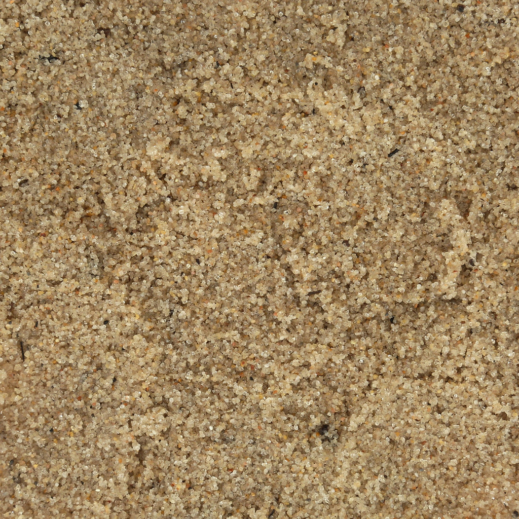Beach Sand Substrate for Hermit Crabs