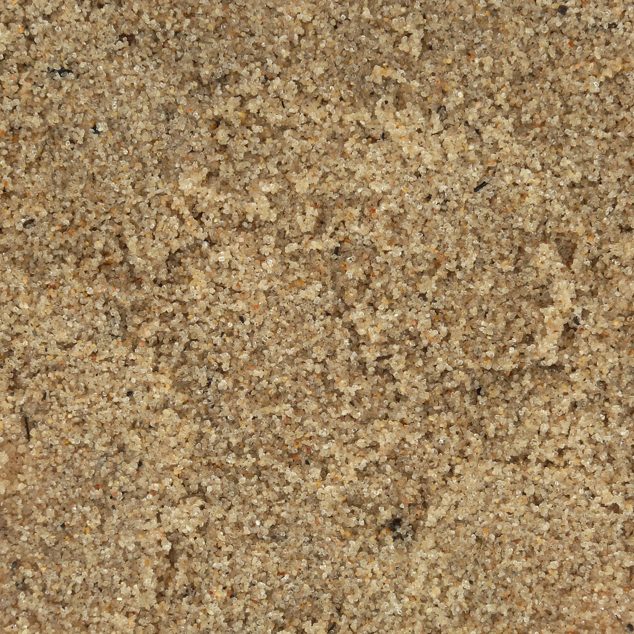 Beach Sand Substrate for Hermit Crabs