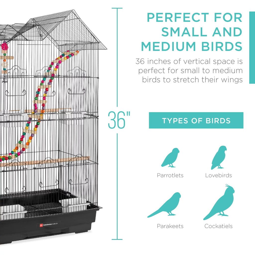 36In  Iron Bird Cage