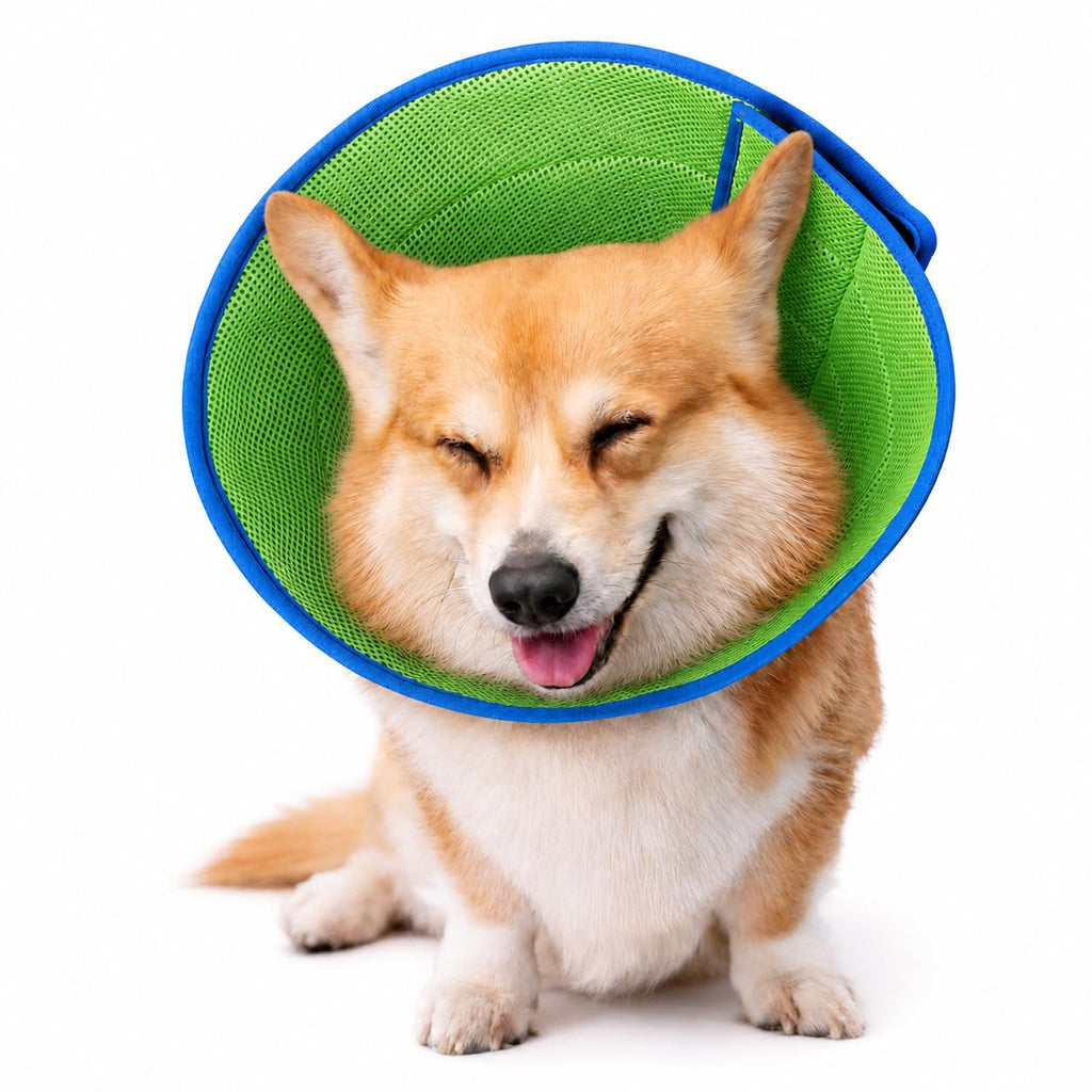 Soft Dog Cone Collar
