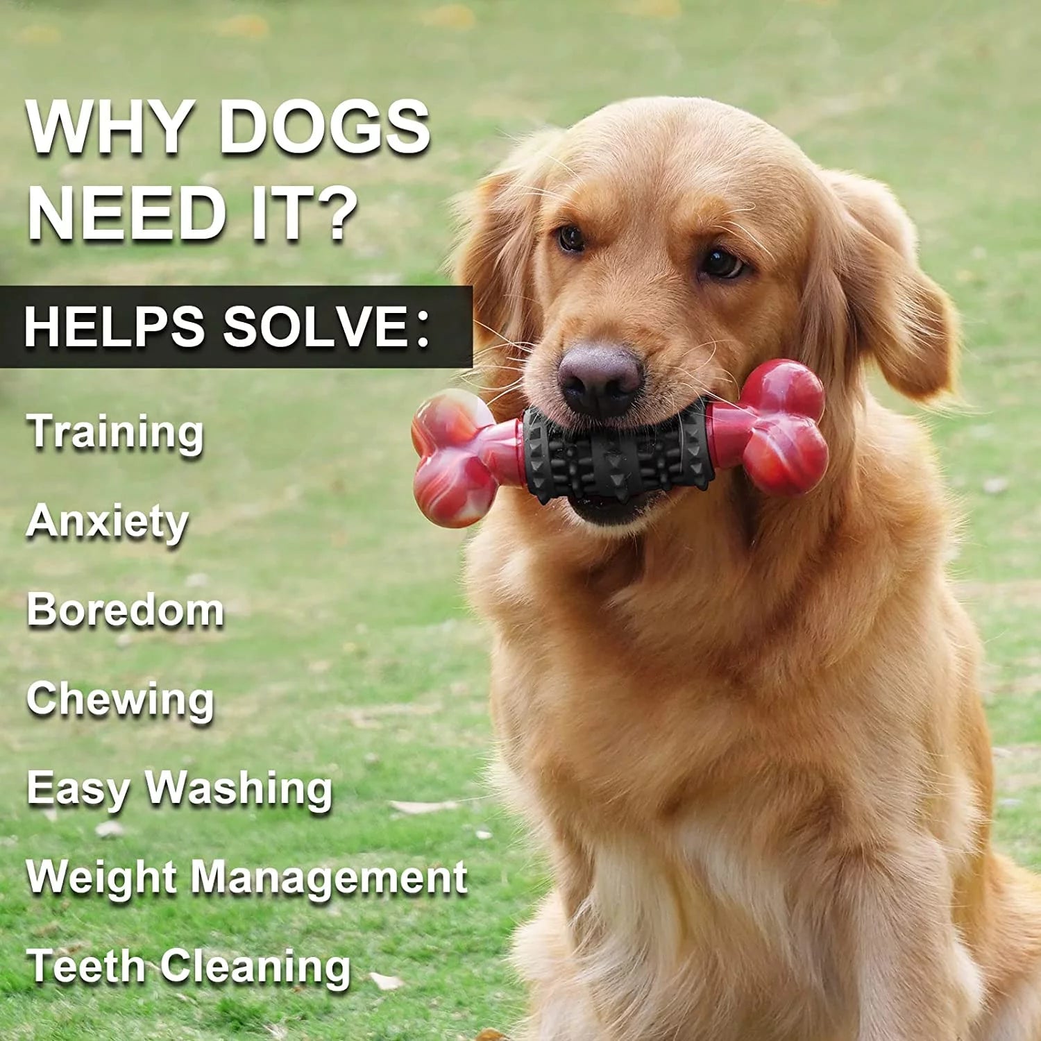 Dog  Bone for Aggressive Chewers