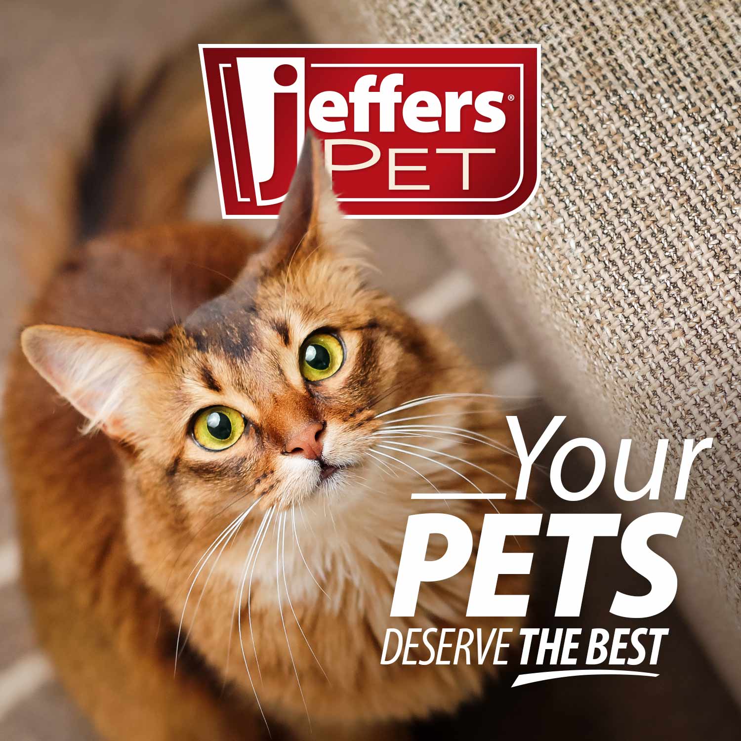 Probiotic Supplement Packets for Cats