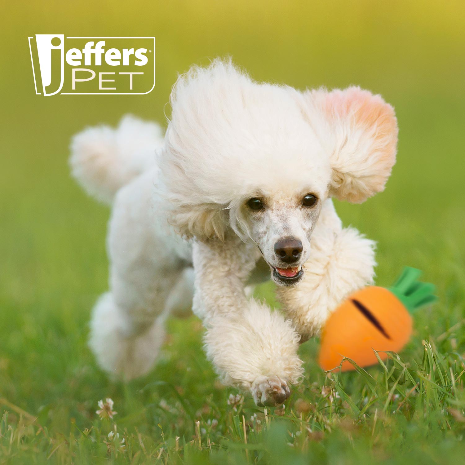 Jeffers Carrot Natural Rubber Treat Dispensing Dog Chew Toy