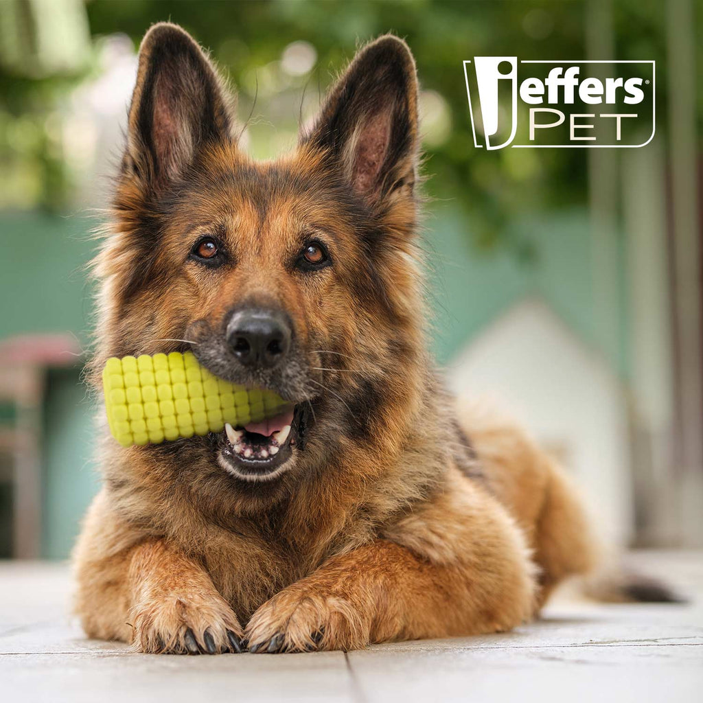 Corn Cob Treat Dispenser Dog  Toy