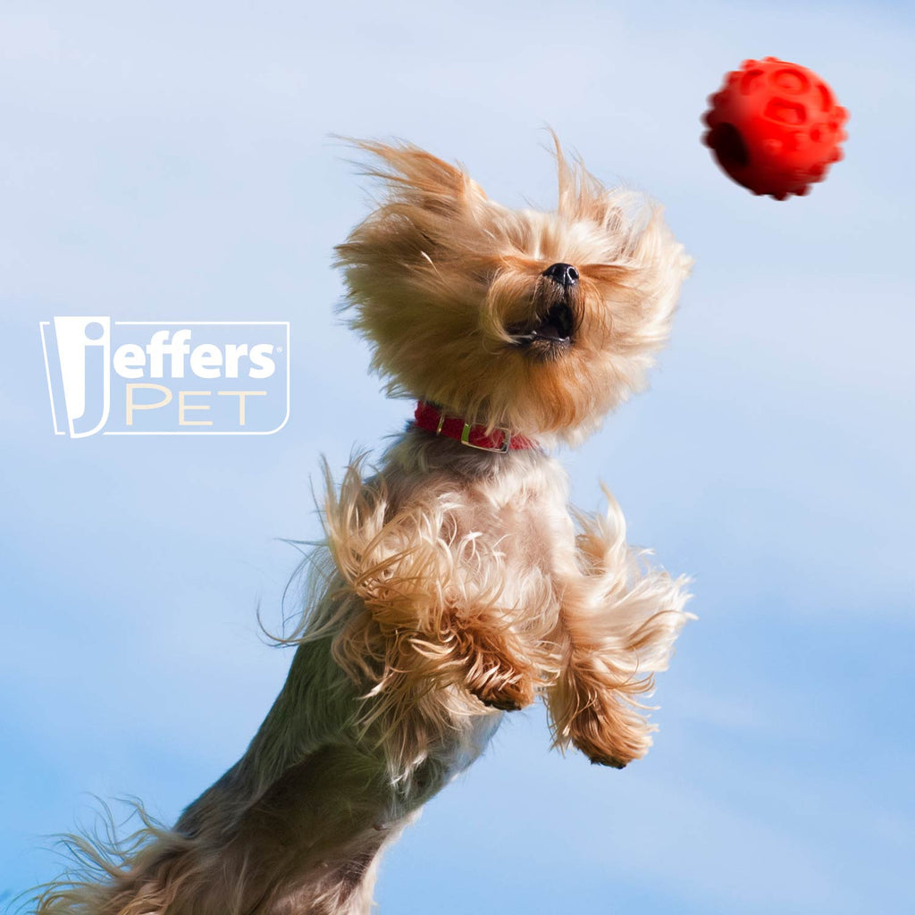Jeffers Hollow Red Knobby Ball  Treat Dispensing Dog Toy