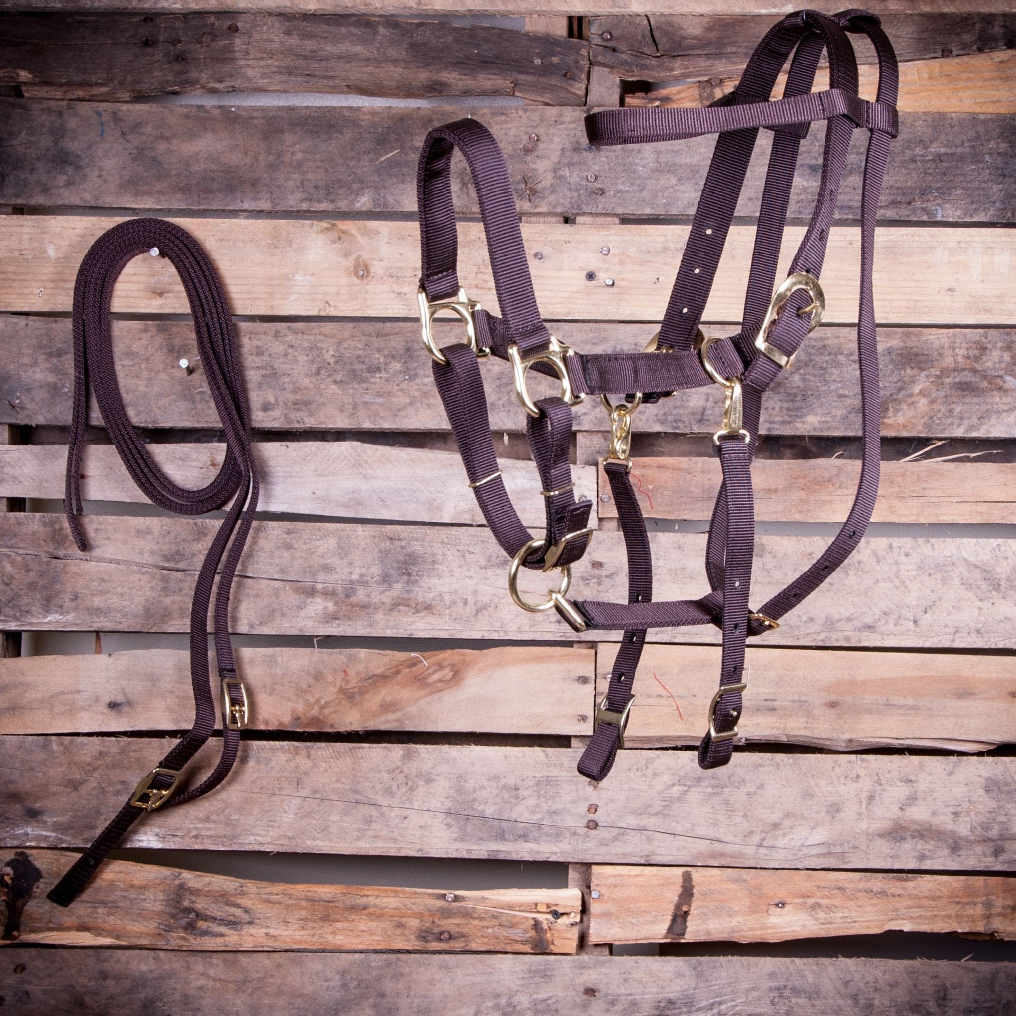 Nylon Combination Horse Halter Bridle with Reins