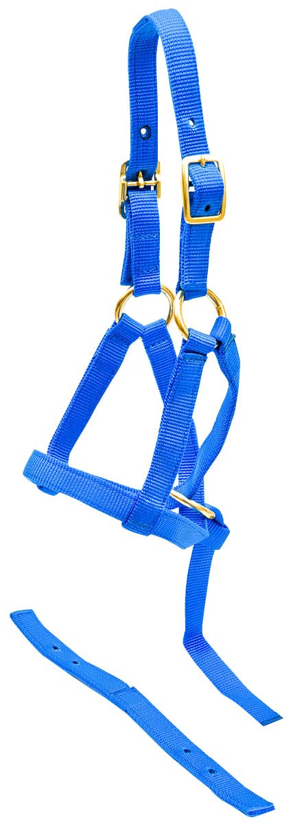 Nylon "Grow With Me" Weanling Horse Halter