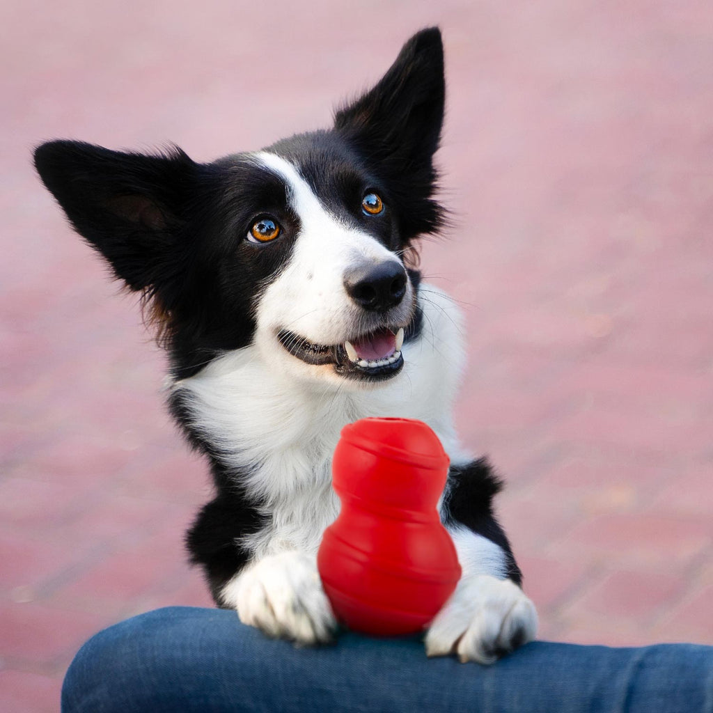 Treat Dispensing Dog Toy
