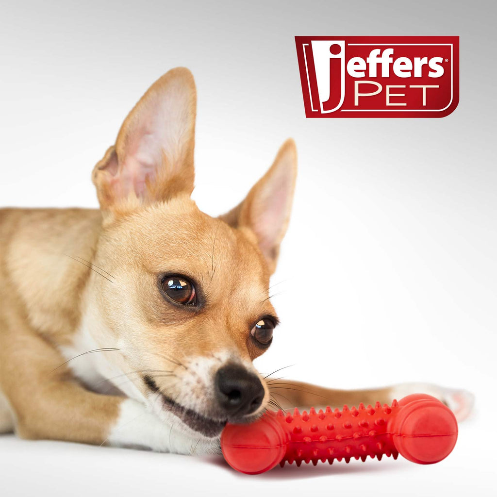 Natural Rubber Red Dental Bone Dog Chew