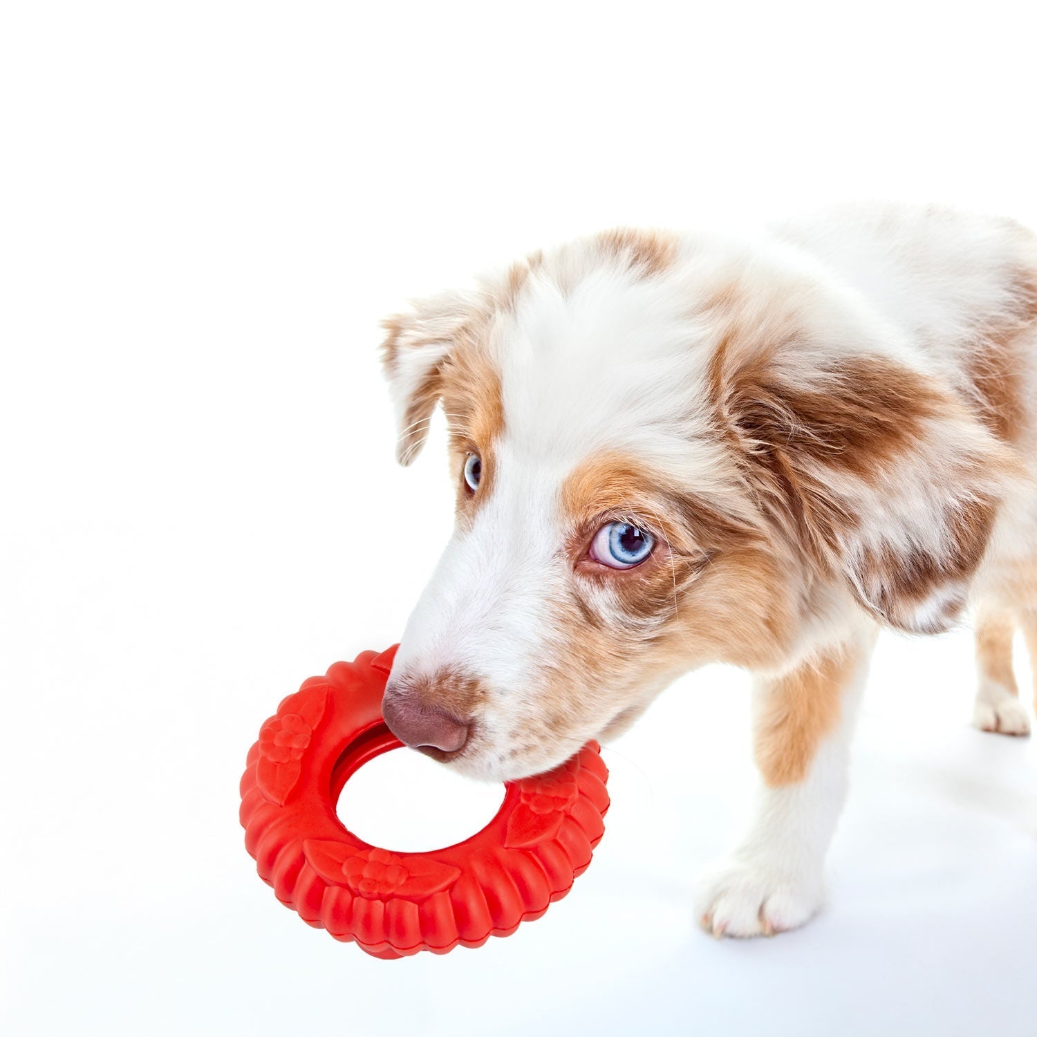 Jeffers Red Virgo  Dog Chew Toy