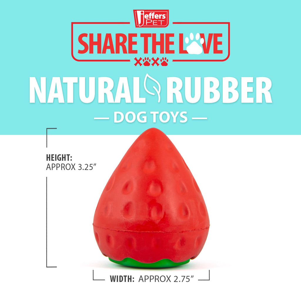Squeaky Strawberry Dog Toy