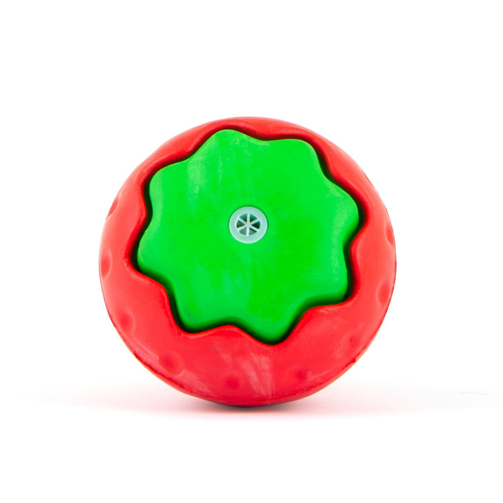 Squeaky Strawberry Dog Toy
