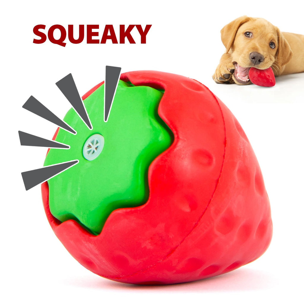 Squeaky Strawberry Dog Toy