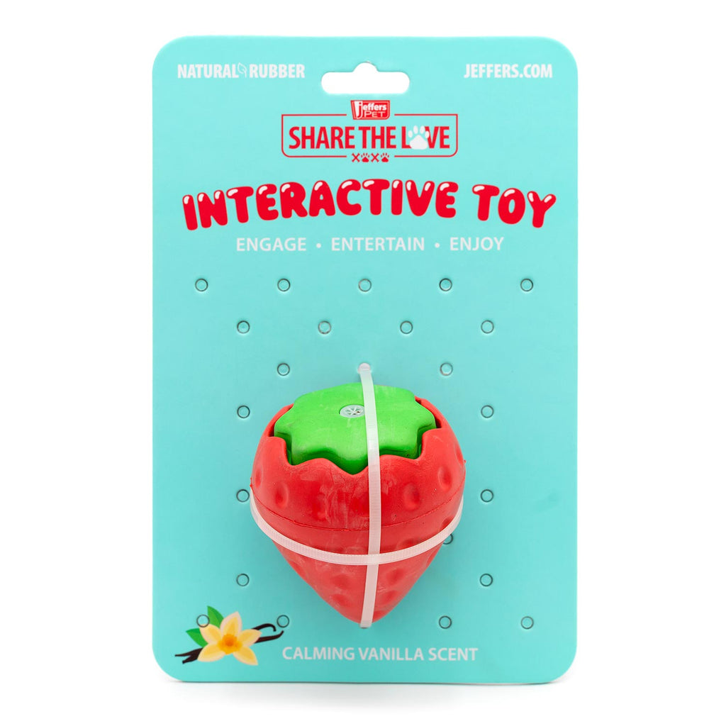 Squeaky Strawberry Dog Toy