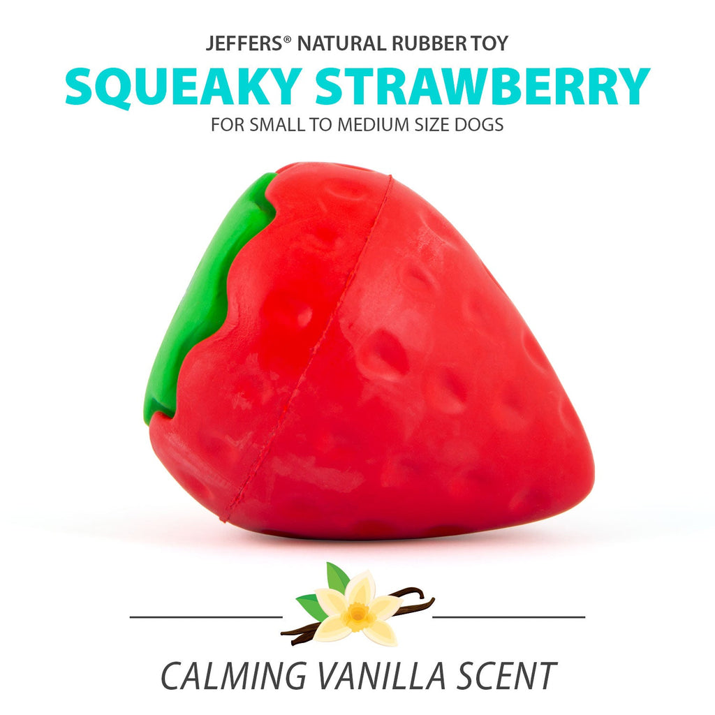 Squeaky Strawberry Dog Toy