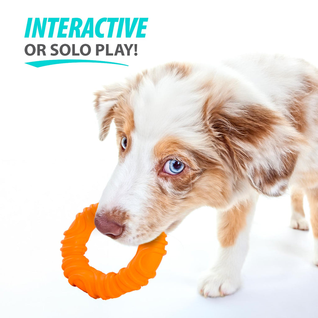 Wavy Ring Tugger Dog Toy