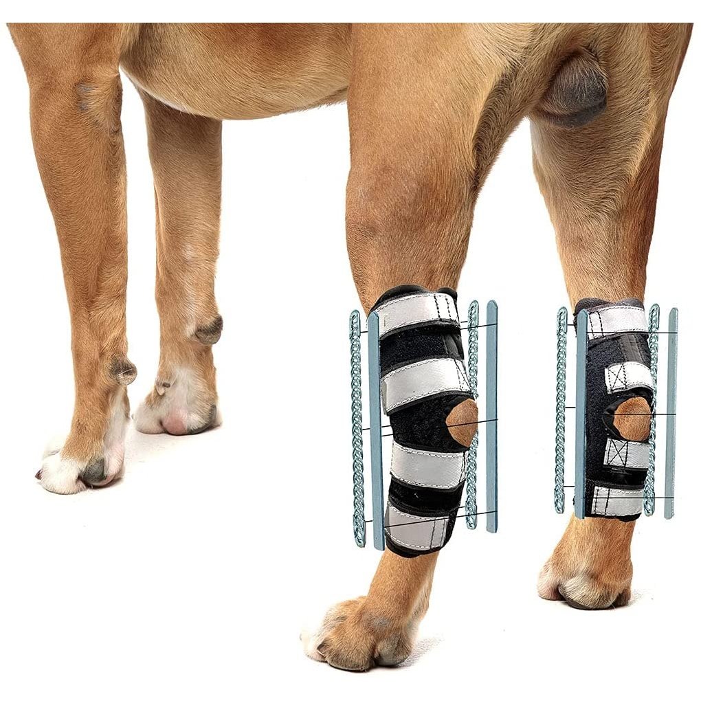 3-in-1 Dog Leg Brace - Rigid and Spring Inserts | Safety Reflective Straps [Long Version] (Pair)