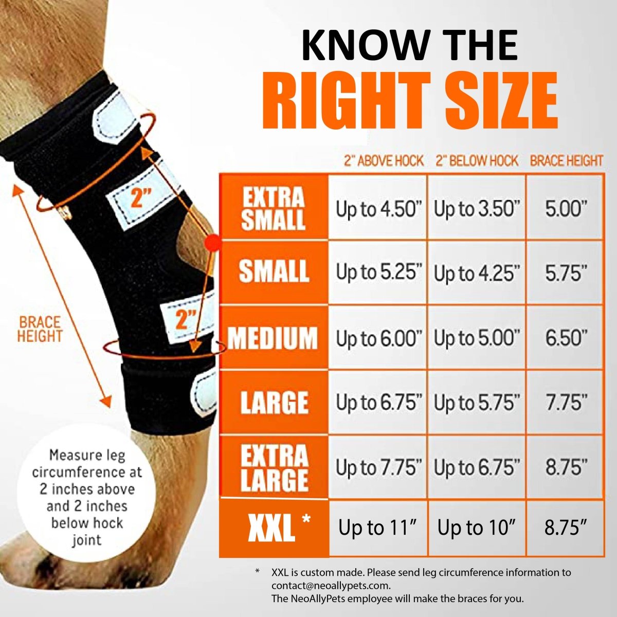 3-in-1 Dog Leg Brace - Rigid and Spring Inserts | Safety Reflective Straps [Long Version] (Pair)