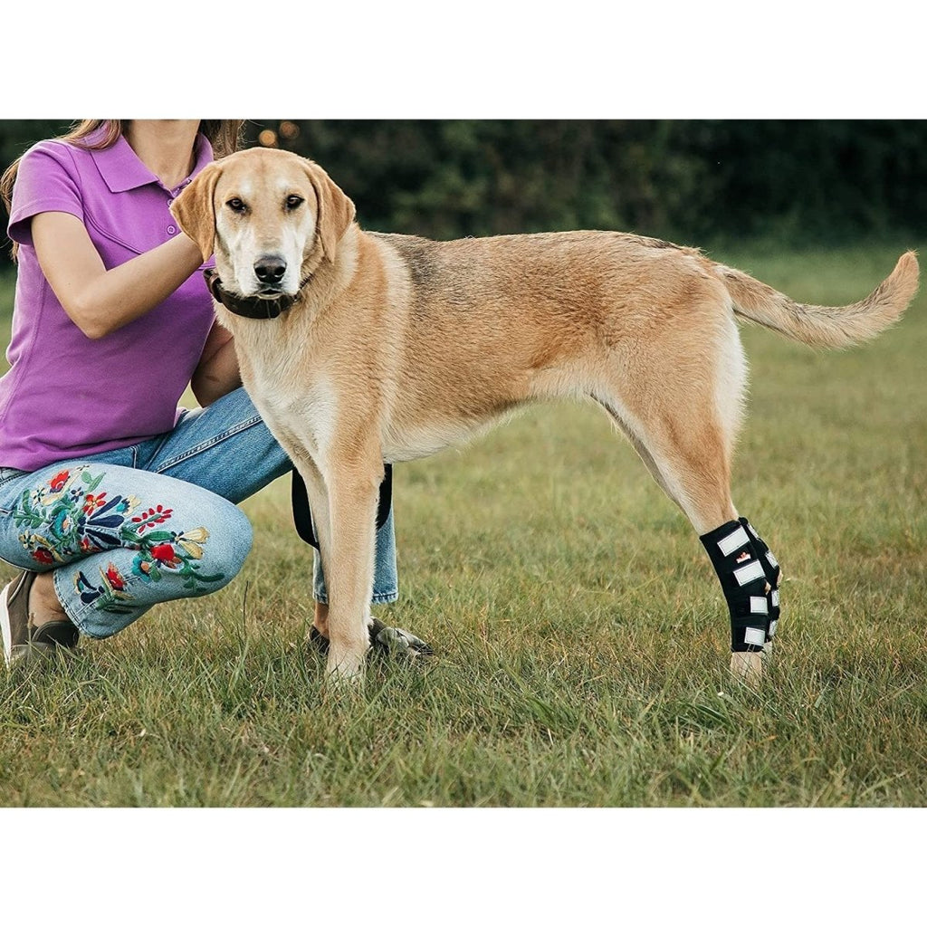 3-in-1 Dog Leg Brace - Rigid and Spring Inserts | Safety Reflective Straps [Long Version] (Pair)
