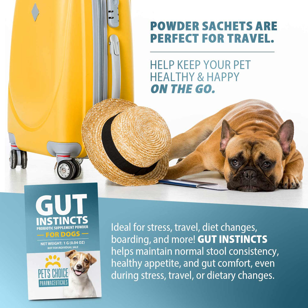 Probiotic Powder Packets for Dogs