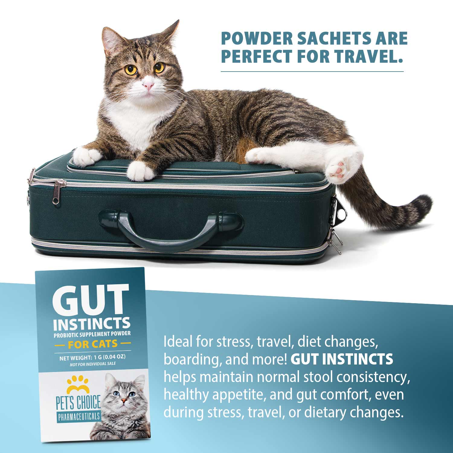 Probiotic Supplement for Cats, 30 Powder Packets, Made in USA
