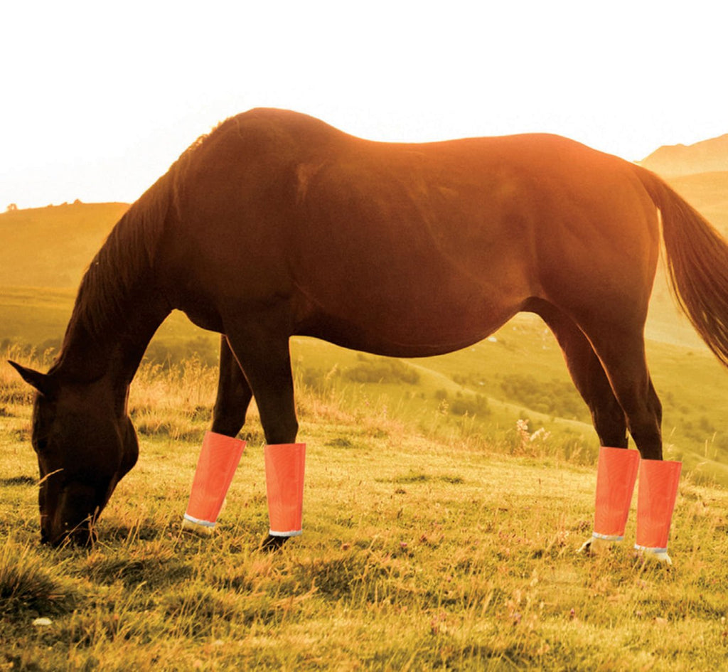 Fine Mesh Fly Boots for Horses, 4 Pack