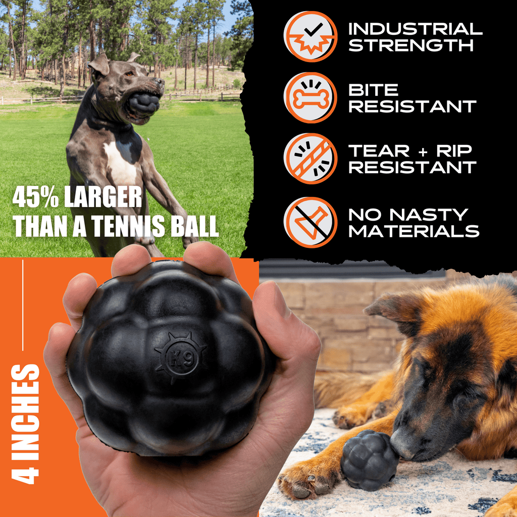 Rumble Ball for Dogs
