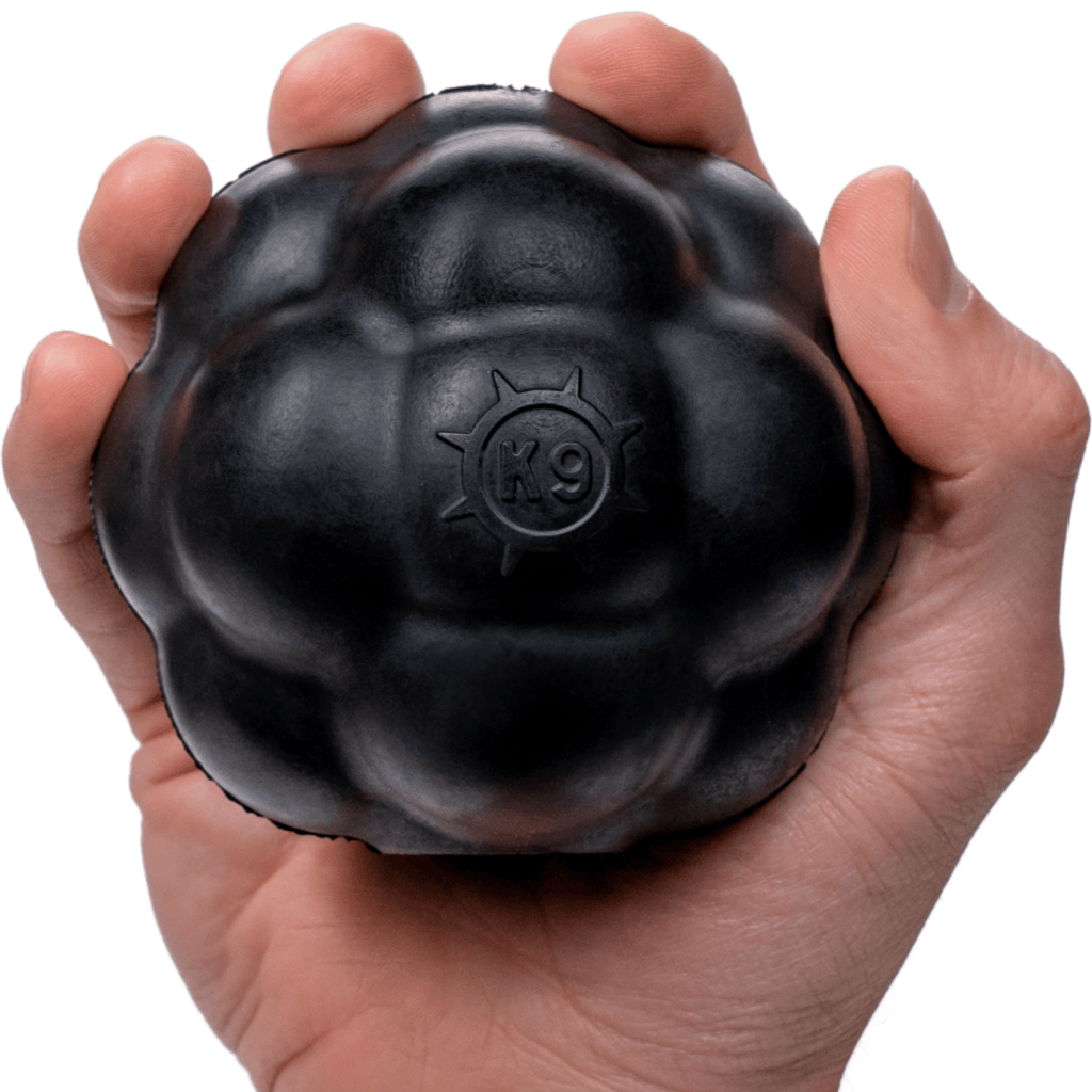 Rumble Ball for Dogs