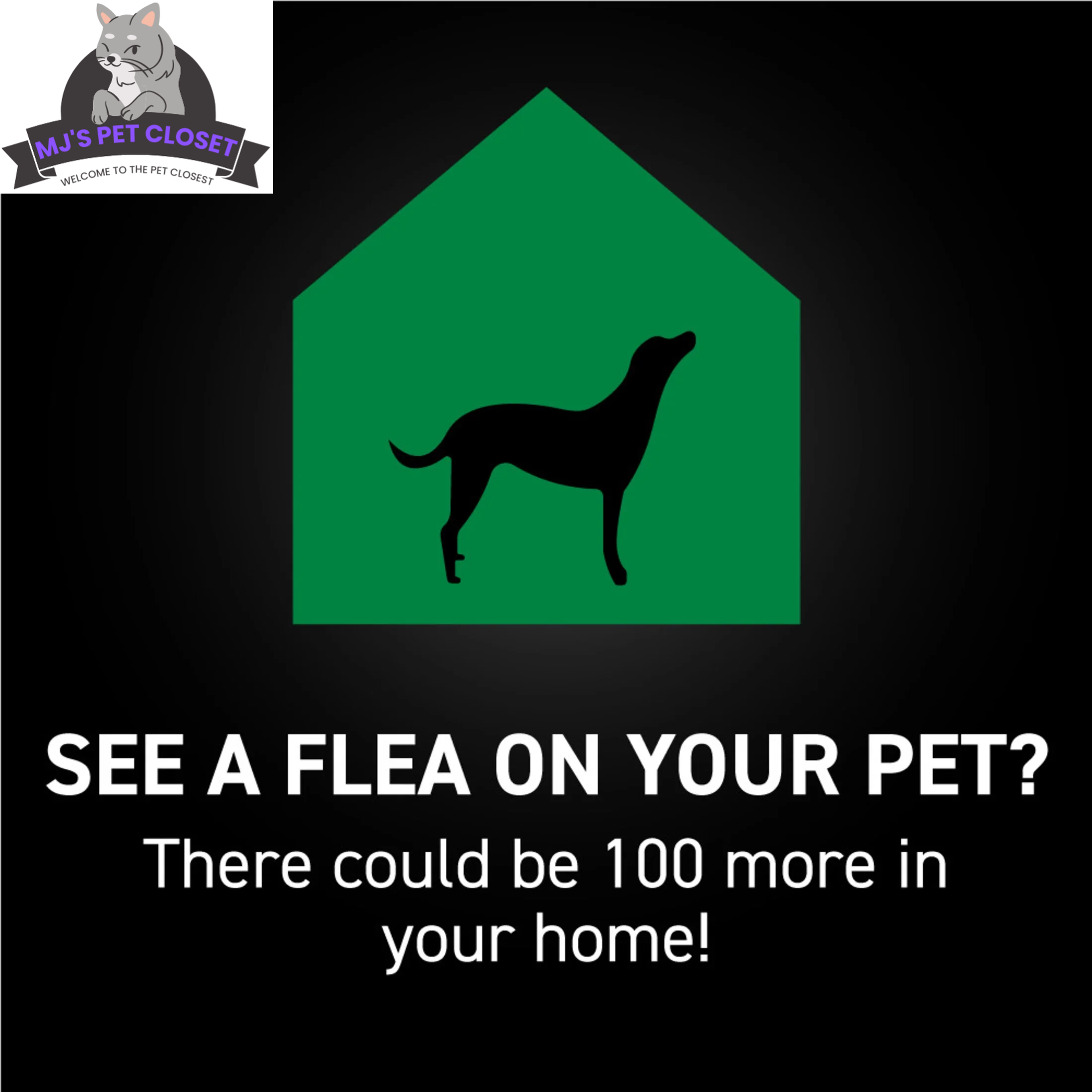 NEXTSTAR: Flea & Tick Topical for Dogs -45-88 Lbs